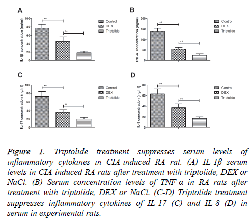 biomedres-Triptolide-treatment