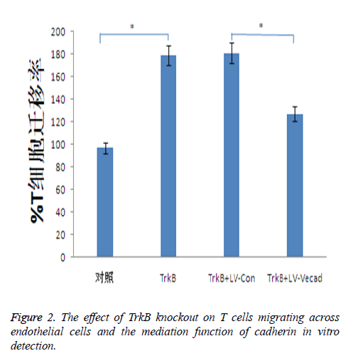 biomedres-TrkB-knockout