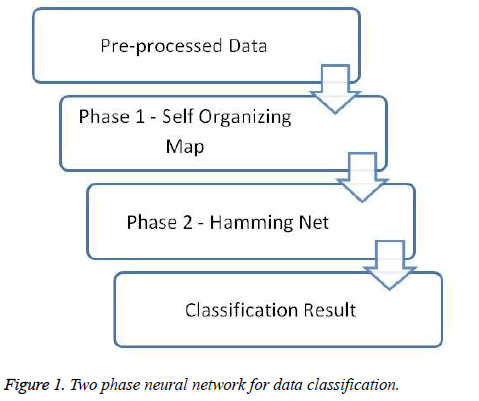 biomedres-Two-phase-neural