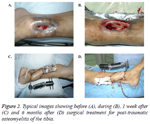 biomedres-Typical-images