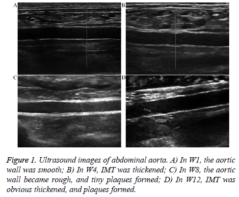 biomedres-Ultrasound-images