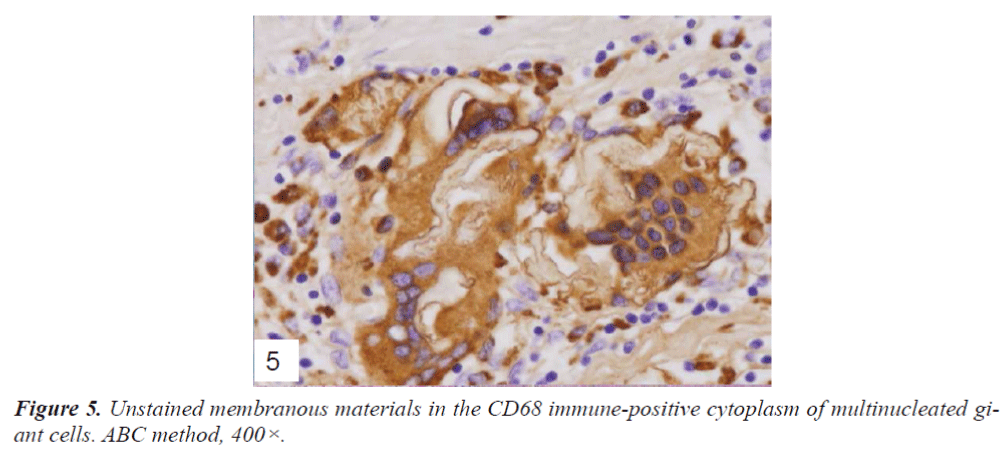 biomedres-Unstained-membranous-materials