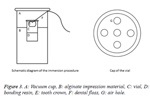 biomedres-Vacuum-cup