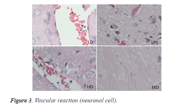 biomedres-Vascular-reaction