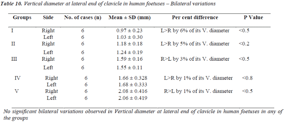 biomedres-Vertical-diameter-lateral-end