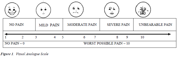 biomedres-Visual-Analogue-Scale