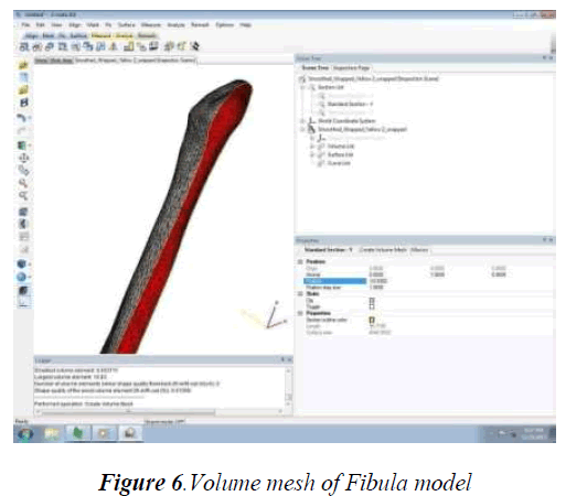 biomedres-Volume-mesh-Fibula