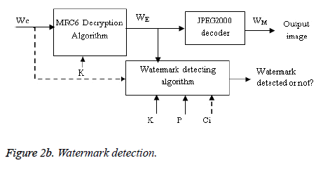 biomedres-Watermark-detection