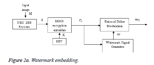 biomedres-Watermark-embedding