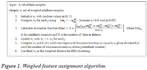 biomedres-Weighed-feature-assignment