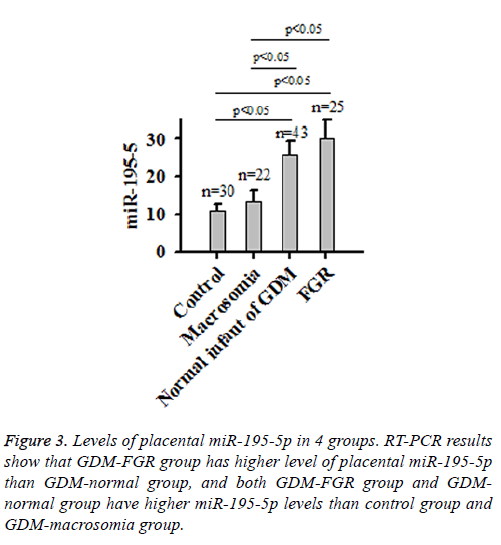 biomedres-Western-blot