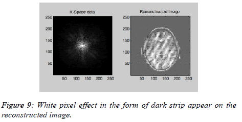 biomedres-White-pixel-effect