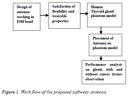 biomedres-Work-flow