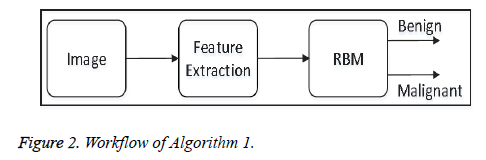 biomedres-Workflow