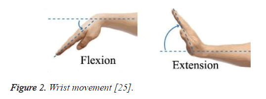 biomedres-Wrist-movement
