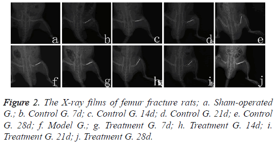 biomedres-X-ray