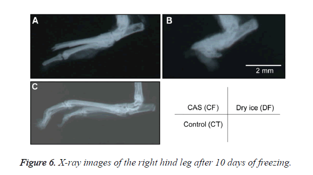 biomedres-X-ray-images