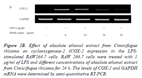 biomedres-absolute-ethanol-extract