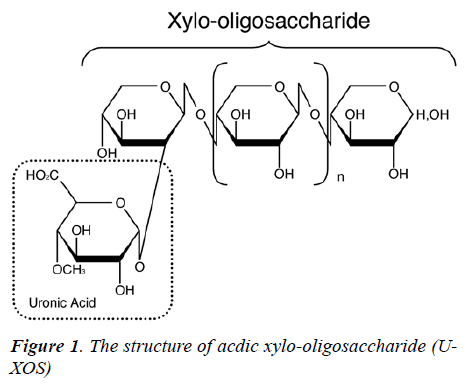 biomedres-acdic-xylo-oligosaccharide