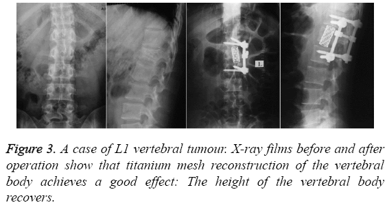 biomedres-achieves-good-effect