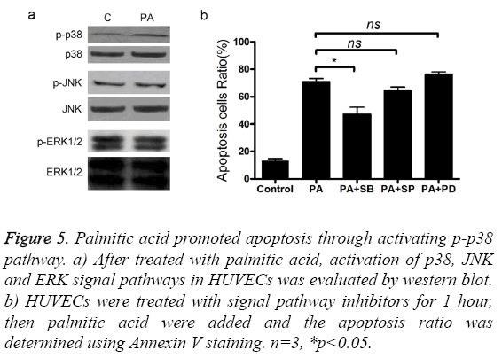 biomedres-acid-promoted-apoptosis