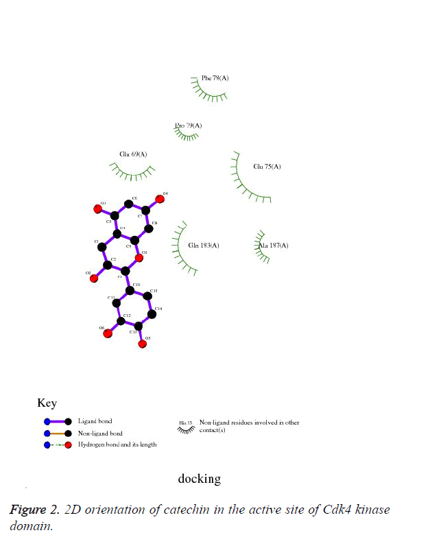 biomedres-active-site