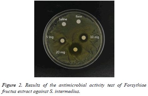 biomedres-activity-test