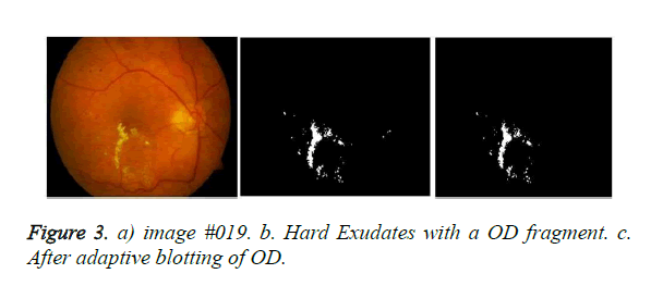 biomedres-adaptive-blotting