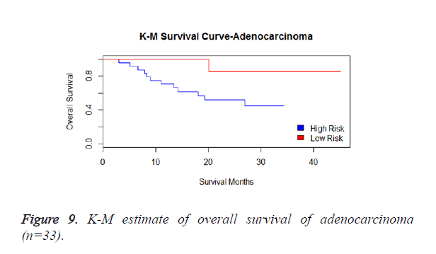 biomedres-adenocarcinoma