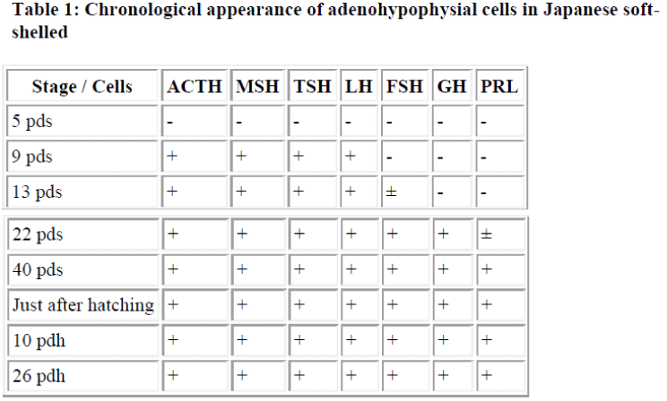 biomedres-adenohypophysial-cells