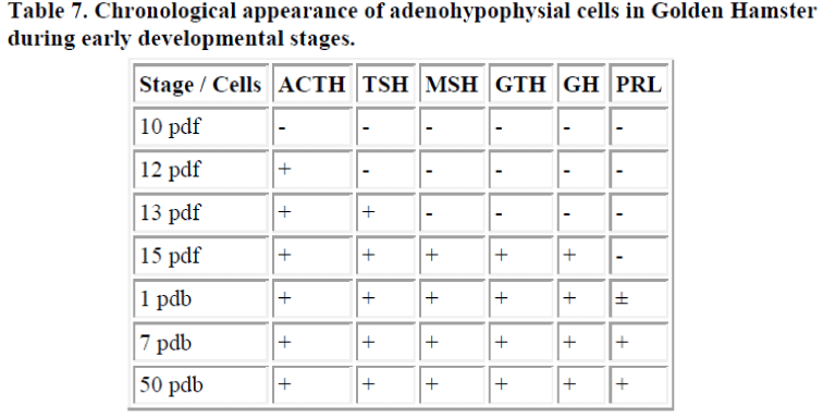 biomedres-adenohypophysial-cells-Golden-Hamster