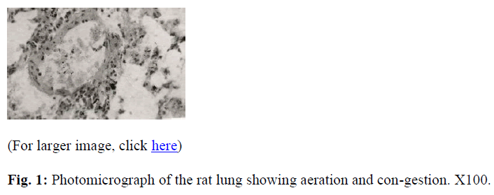 biomedres-aeration-con-gestion