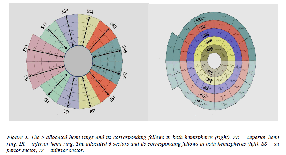 biomedres-allocated-hemi-rings