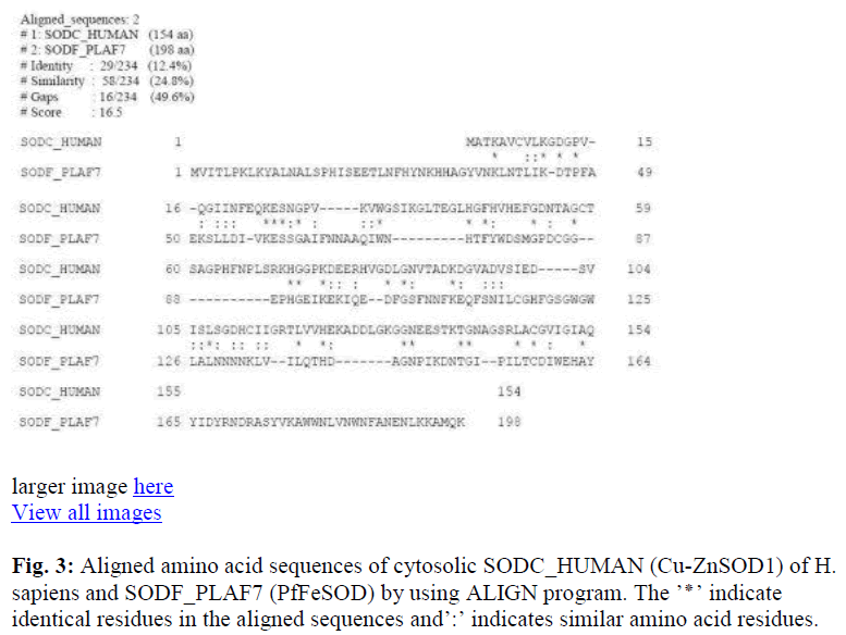 biomedres-amino-acid-cytosolic-sapiens-residues