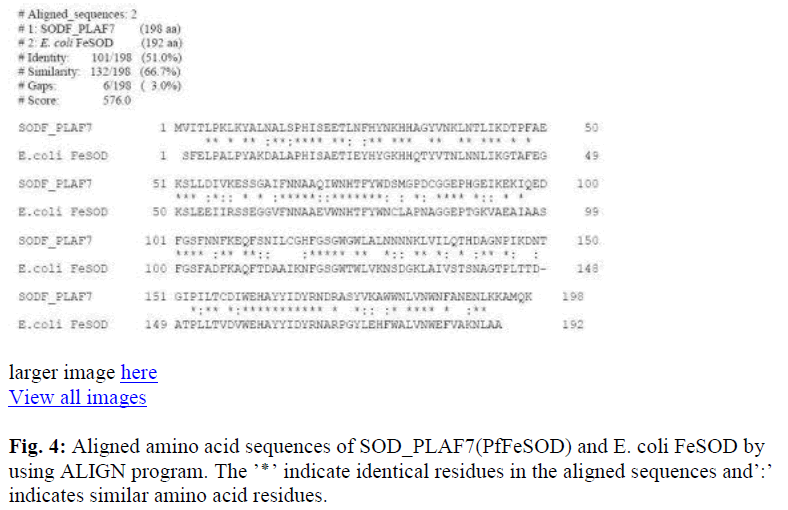 biomedres-amino-acid-cytosolic-sapiens-residues