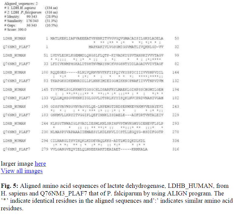 biomedres-amino-acid-sequences-lactate-dehydrogenase