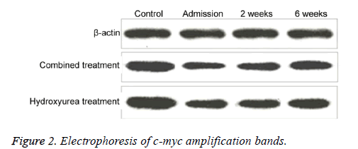 biomedres-amplification-bands