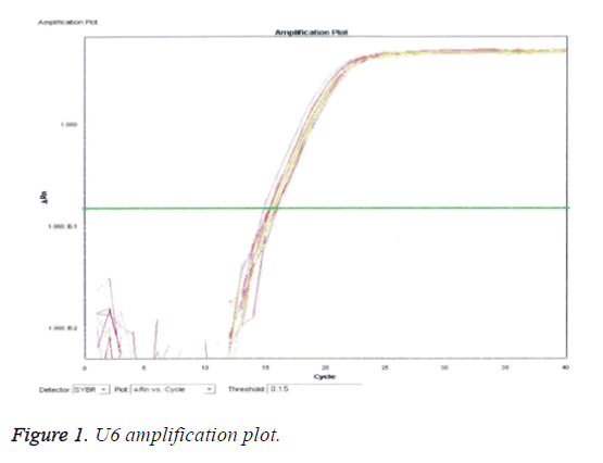 biomedres-amplification-plot