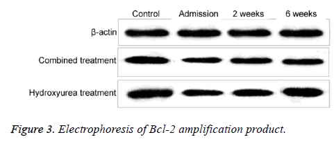 biomedres-amplification-product