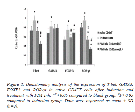 biomedres-analysis-blot