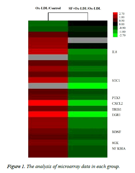 biomedres-analysis-microarray