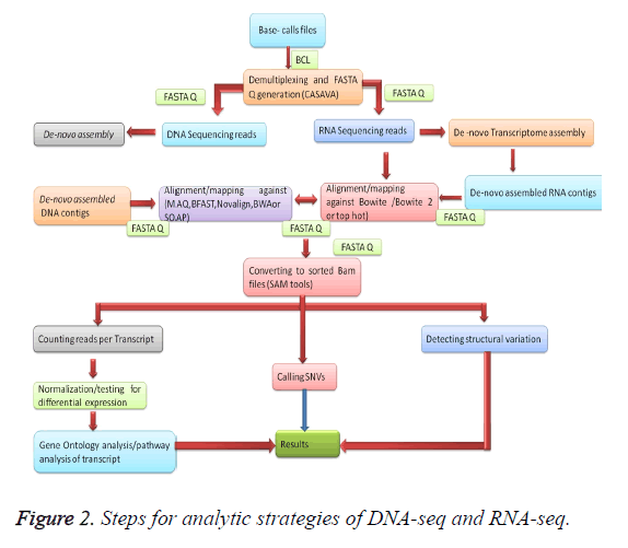 biomedres-analytic-strategies