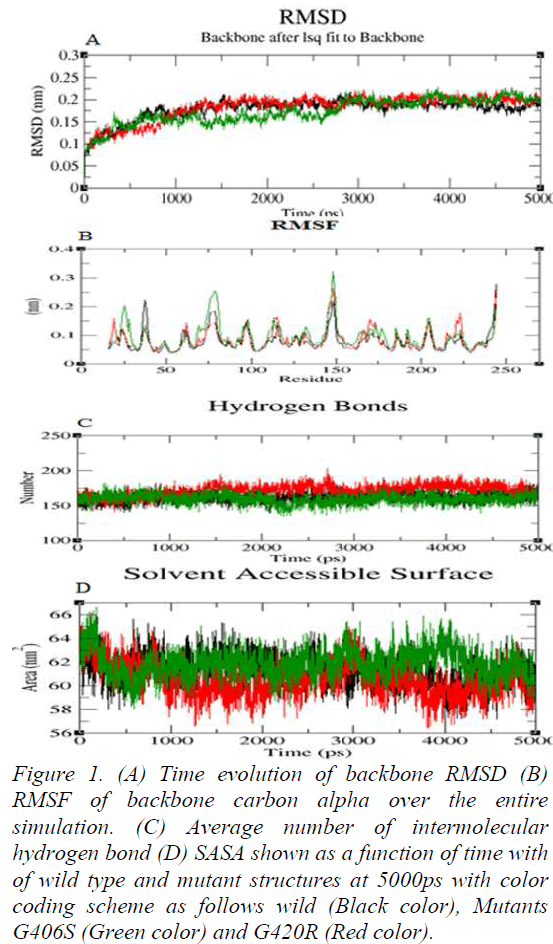 biomedres-analyzed-Time-evolution-backbone