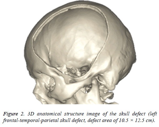 biomedres-anatomica-lstructure