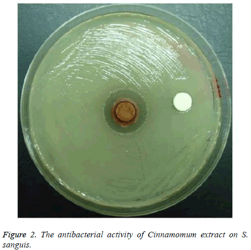 biomedres-antibacterial-Cinnamomum