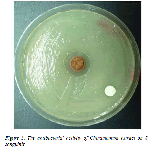biomedres-antibacterial-Cinnamomum