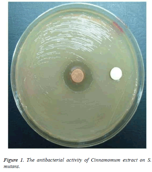 biomedres-antibacterial-activity
