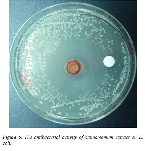 biomedres-antibacterial-activity