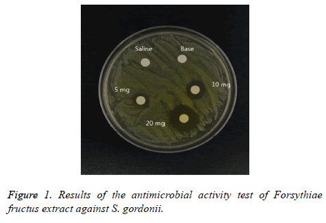 biomedres-antimicrobial