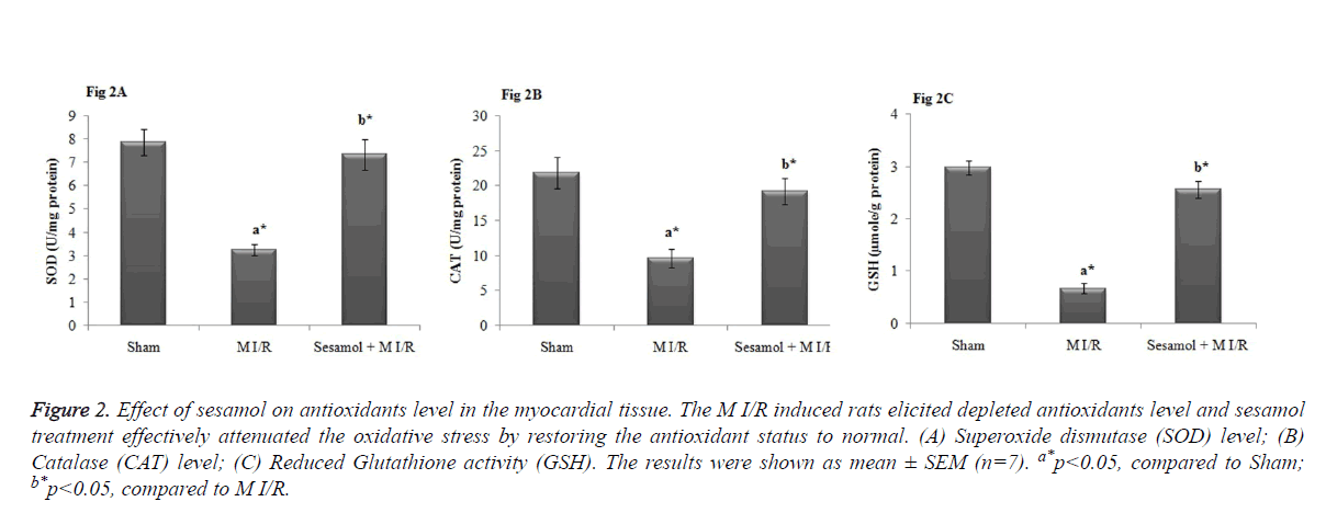 biomedres-antioxidants-level